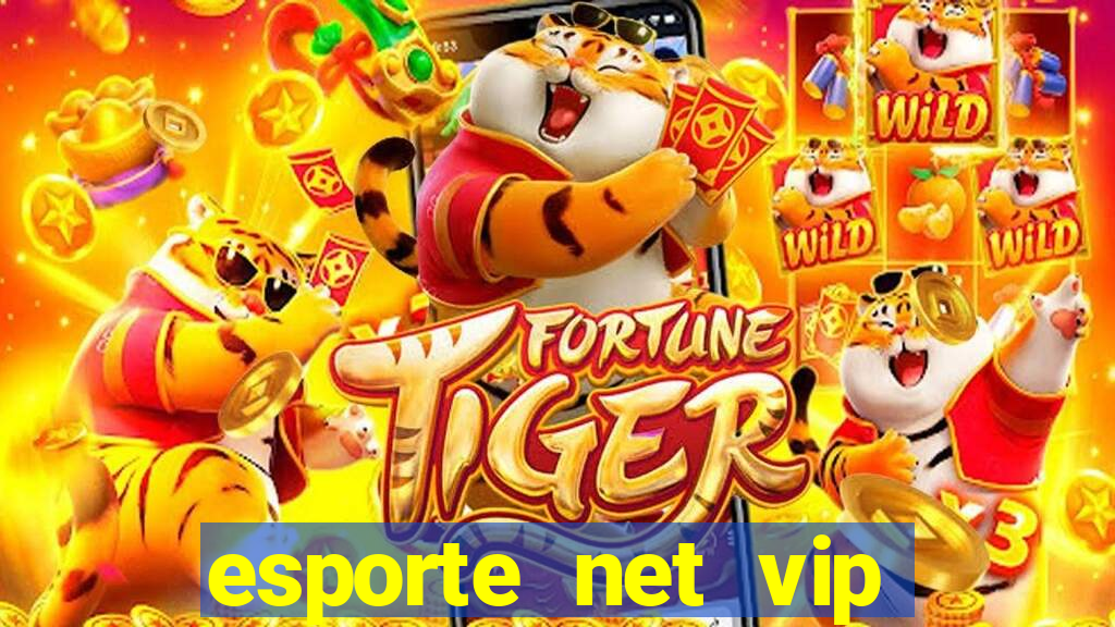 esporte net vip bet consultar bilhete